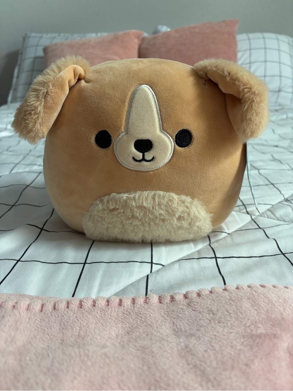 Stevon the dog Squishmallow-Cream Brown Soft Plush